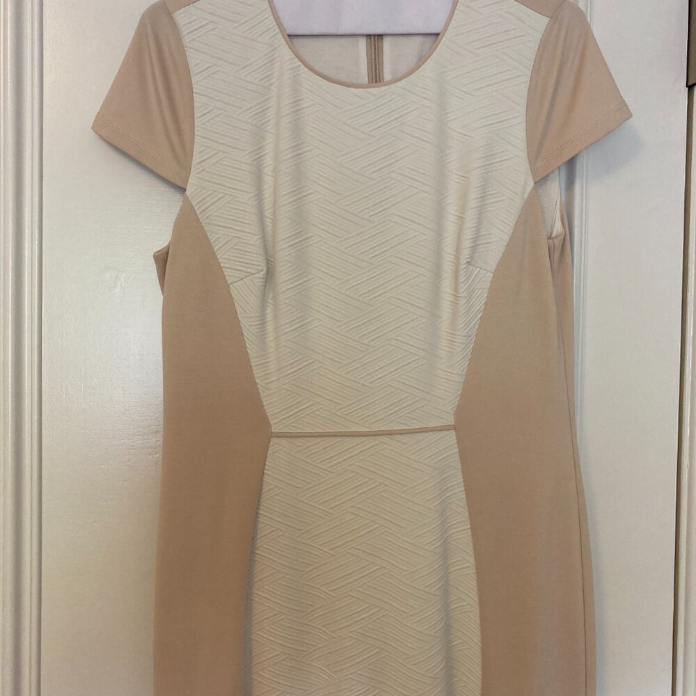 Bebe midi dress large